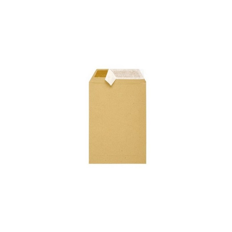 Pochette Kraft 162X223 STRIP (6021090901623) - 1 Pochette Kraft 162X223 STRIP (6021090901623) - 1