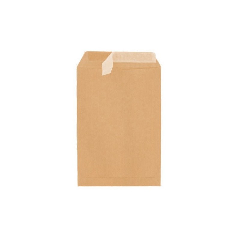 Pochette Kraft STRIP 229X324 (6021090092332) - 1 Pochette Kraft STRIP 229X324 (6021090092332) - 1