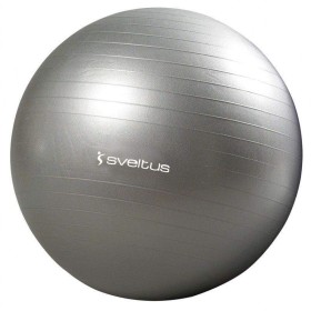 Gym ball diamètre 65 cm (0340) SVELTUS - 1