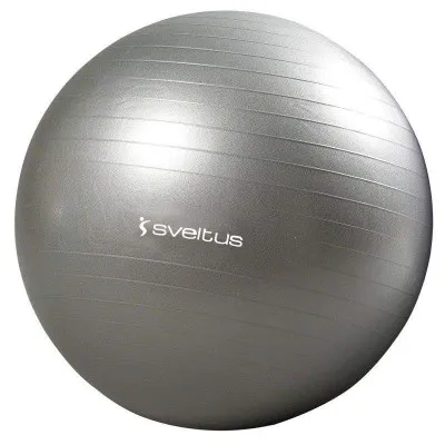 Gym ball diamètre 65 cm (0340)