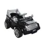 VOITURE EXTREME PILSAN 05-262