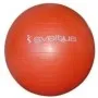 Gymball SVELTUS 55 CM -Orange (0396)