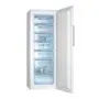 Congélateur armoire vertical CANDY 380L Blanc (CCOUS6172WH)