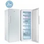 Congélateur armoire vertical CANDY 380L Blanc (CCOUS6172WH)