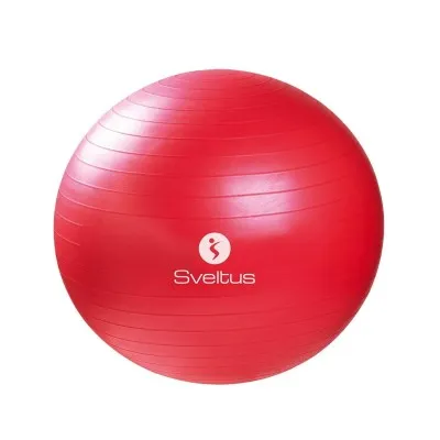 Gymball rouge Ø65 cm SVELTUS (0330)