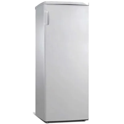 Congélateur Vertical NEWSTAR 168L Silver (CONG240S)