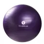 Ballon Gym diamètre 75 -SVELTUS- (0445)