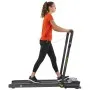 Tapis de course CARDIO FIT T10 (19TCFT1000)