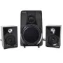 HAUT PARLEUR Subwoofer 2.1 Protech 313