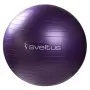 Gym ball parme 75CM SVELTUS (0345)