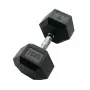 Haltère hexagonale 20 kg x1 SVELTUS (1206)