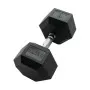 Haltère hexagonal gomme 22.5kg SVELTUS 1 pièces (1207)