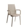 Chaise cross avec accodoir (CCA429) - 1 sofpince chez affariyet pas cher