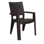 Chaise robusta