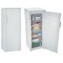 Congélateur armoire vertical CANDY Defrost 290L Blanc (CCOUS5142WH)