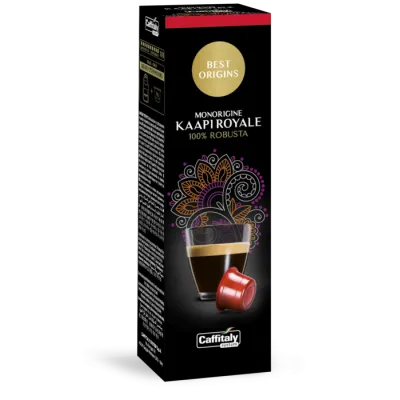 Paquet de 10 capsules Caffitaly india kaapi royale
