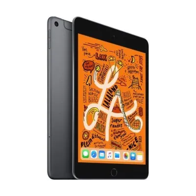 iPad Mini 5 ème génération 7.9\" 2019  64Go WiFi  - GRIS (IPAD-MINI5-64W)