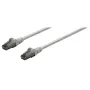 CABLE RESEAU UTP CAT6 2M