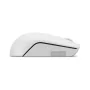 Souris Optique Sans Fil LENOVO COMPACT 300 Avec Batterie - Gris