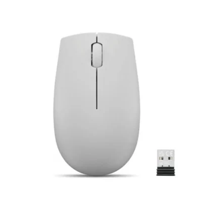 Souris Optique Sans Fil LENOVO COMPACT 300 Arctic - Gris