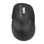 Souris Sans Fil PROMATE Eternal - Noir