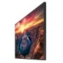 Ecran SAMSUNG 65" QM65B 4K 60Hz