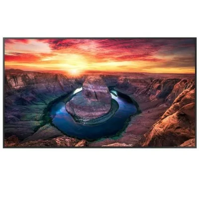 Ecran SAMSUNG 65" QM65B 4K 60Hz