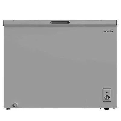 Congélateur Horizontal NEWSTAR 340L -Silver chez affariyet pas cher