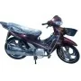 Moto Uniscoot MTR 107CC Marron