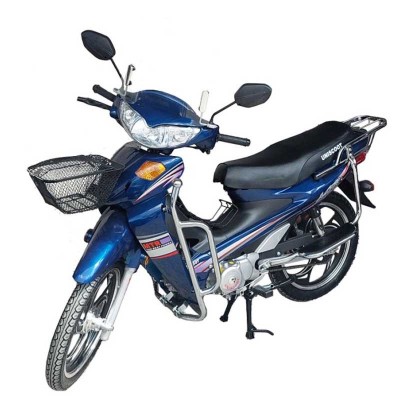 Moto Uniscoot MTR 107CC Bleu