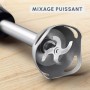 Mixeur 3en1 MOULINEX 1000W chez affariyet pas cher