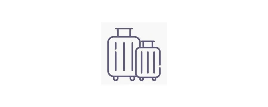 Valises